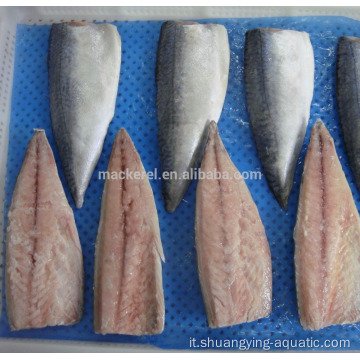 Prezzo di filetto per sgombri di pesce congelato di alta qualità